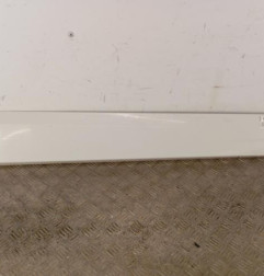 Baguette de porte avant droite RENAULT GRAND SCENIC 3 Photo n°1