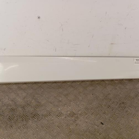 Baguette de porte avant droite RENAULT GRAND SCENIC 3 Photo n°1