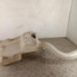 Vase de lave glace FORD MONDEO 4