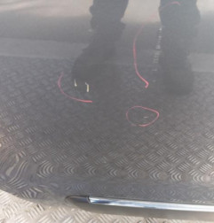 Porte arriere droit CITROEN C3 PICASSO