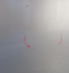 Porte avant droit CITROEN C4 2 Photo n°5