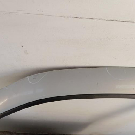 Porte avant gauche RENAULT CLIO 2