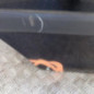 Porte arriere droit SKODA FABIA 2