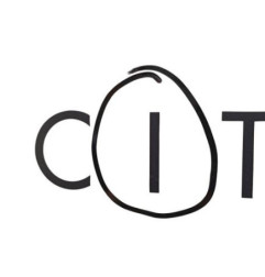 Porte avant droit CITROEN C4 CACTUS Photo n°4