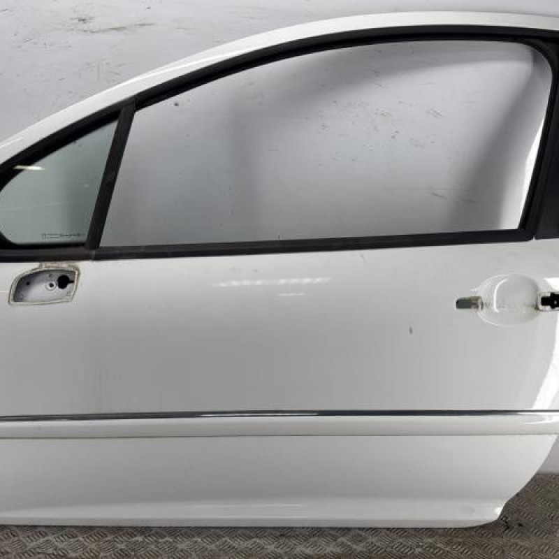 Porte avant gauche PEUGEOT 207