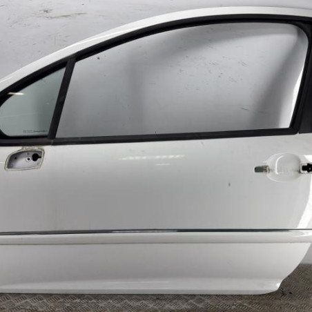 Porte avant gauche PEUGEOT 207 Photo n°1