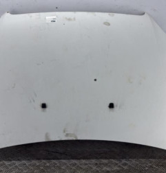Capot FIAT DOBLO 1 Photo n°1