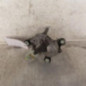 Moteur essuie glace arriere OPEL MERIVA A