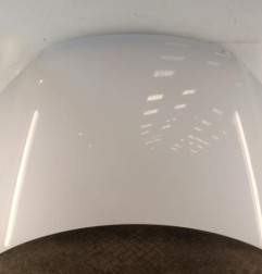 Capot VOLKSWAGEN TIGUAN 1 Photo n°1