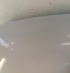Capot VOLKSWAGEN TIGUAN 1