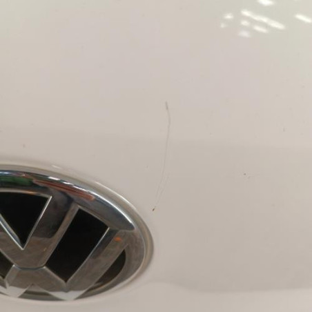 Malle/Hayon arriere VOLKSWAGEN TIGUAN 1