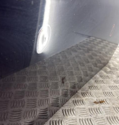 Porte avant droit ALFA ROMEO GT Photo n°3