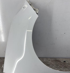 Aile avant droit RENAULT GRAND SCENIC 3 Photo n°1