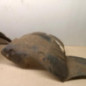 Pare boue avant gauche PEUGEOT 206