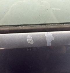 Porte avant gauche OPEL CORSA D Photo n°3