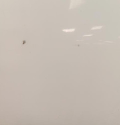 Porte arriere gauche VOLKSWAGEN TIGUAN 1