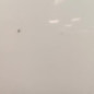 Porte arriere gauche VOLKSWAGEN TIGUAN 1