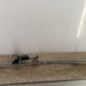 Moteur essuie glace avant CITROEN C4 2
