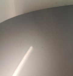Capot RENAULT SCENIC 3 Photo n°3