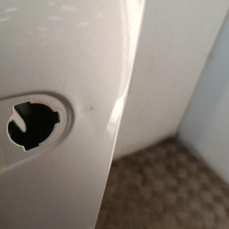 Porte avant gauche RENAULT SCENIC 3