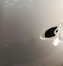 Porte avant gauche RENAULT SCENIC 3 Photo n°3