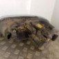 Optique avant principal droit (feux)(phare) VOLKSWAGEN CADDY 3