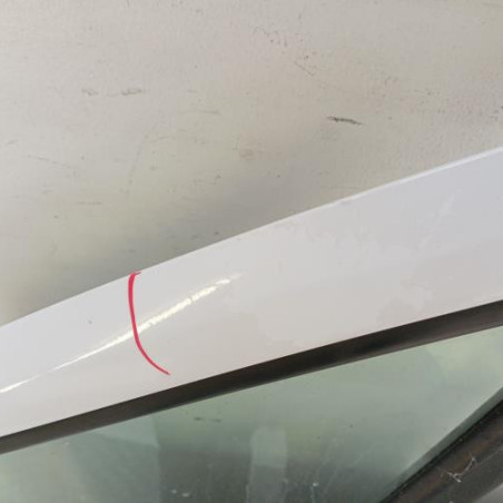Porte avant gauche CITROEN BERLINGO 2