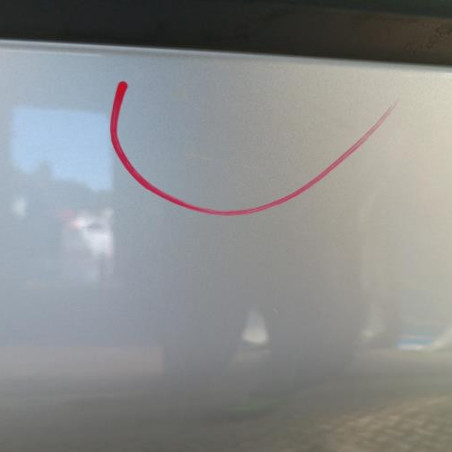 Porte arriere gauche RENAULT CLIO 5