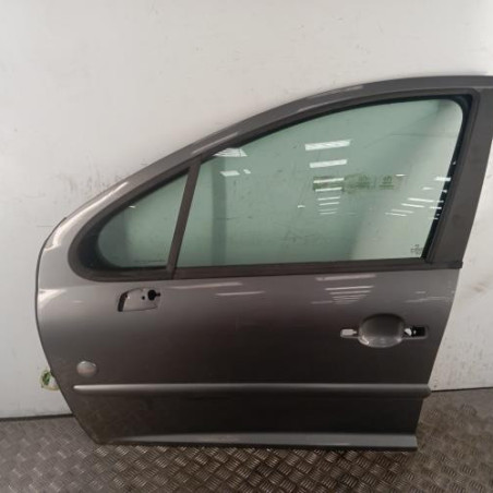 Porte avant gauche PEUGEOT 207 Photo n°1