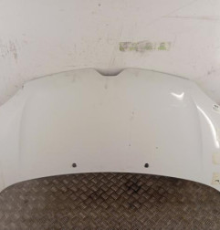 Capot RENAULT TWINGO 3 Photo n°1