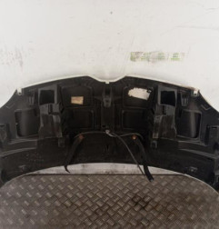 Capot RENAULT TWINGO 3