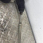 Cremaillere assistee CITROEN C3 PICASSO