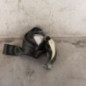 Ceinture arriere gauche PEUGEOT 5008 1