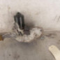 Moteur essuie glace avant gauche RENAULT GRAND SCENIC 3