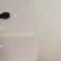 Porte avant gauche VOLKSWAGEN TRANSPORTER 6