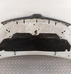 Capot RENAULT TRAFIC 3 COURT Photo n°5