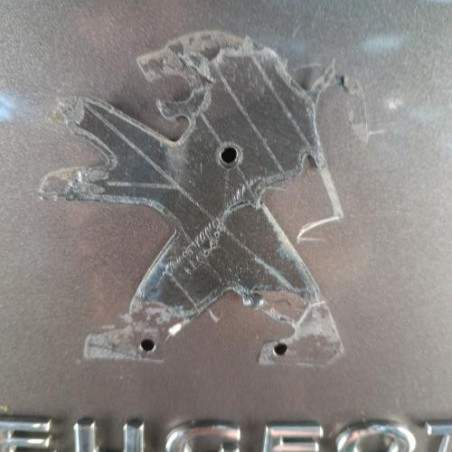 Malle/Hayon arriere PEUGEOT PARTNER 2
