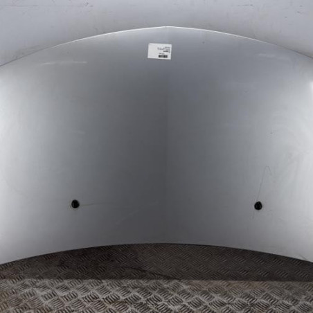 Capot RENAULT CLIO 3 Photo n°1