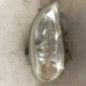 Optique avant principal droit (feux)(phare) CITROEN SAXO