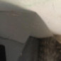 Pare choc arriere SEAT IBIZA 4