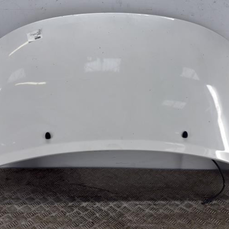 Capot PEUGEOT 207 Capot PEUGEOT 207