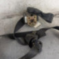 Ceinture avant droit CITROEN BERLINGO 1