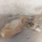 Vase de lave glace PEUGEOT 307