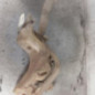 Vase de lave glace PEUGEOT 307