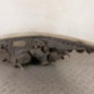 Optique avant principal droit (feux)(phare) CITROEN C4 1