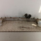 Renfort pare choc avant (traverse) RENAULT SCENIC 3