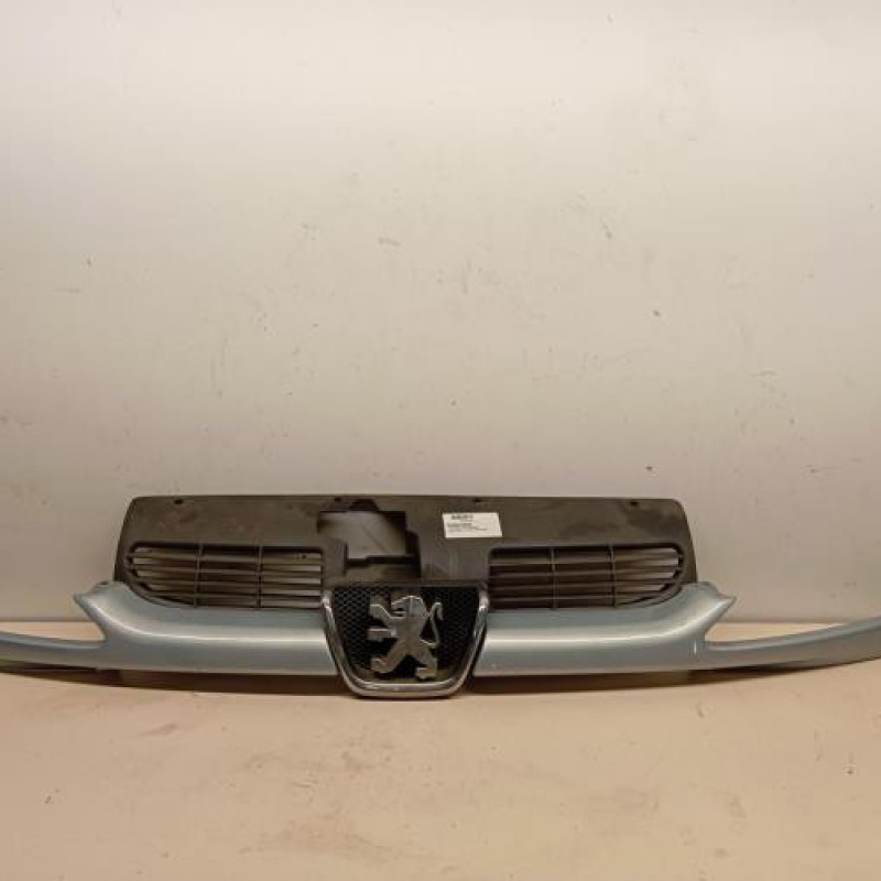 Calandre PEUGEOT 206 Calandre PEUGEOT 206