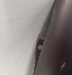 Aile avant gauche RENAULT TWINGO 1 Photo n°4
