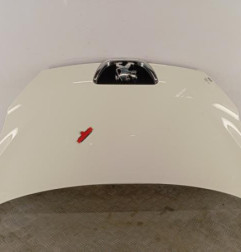 Capot PEUGEOT 107 Photo n°1