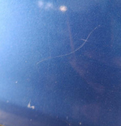 Porte avant droit PEUGEOT 106